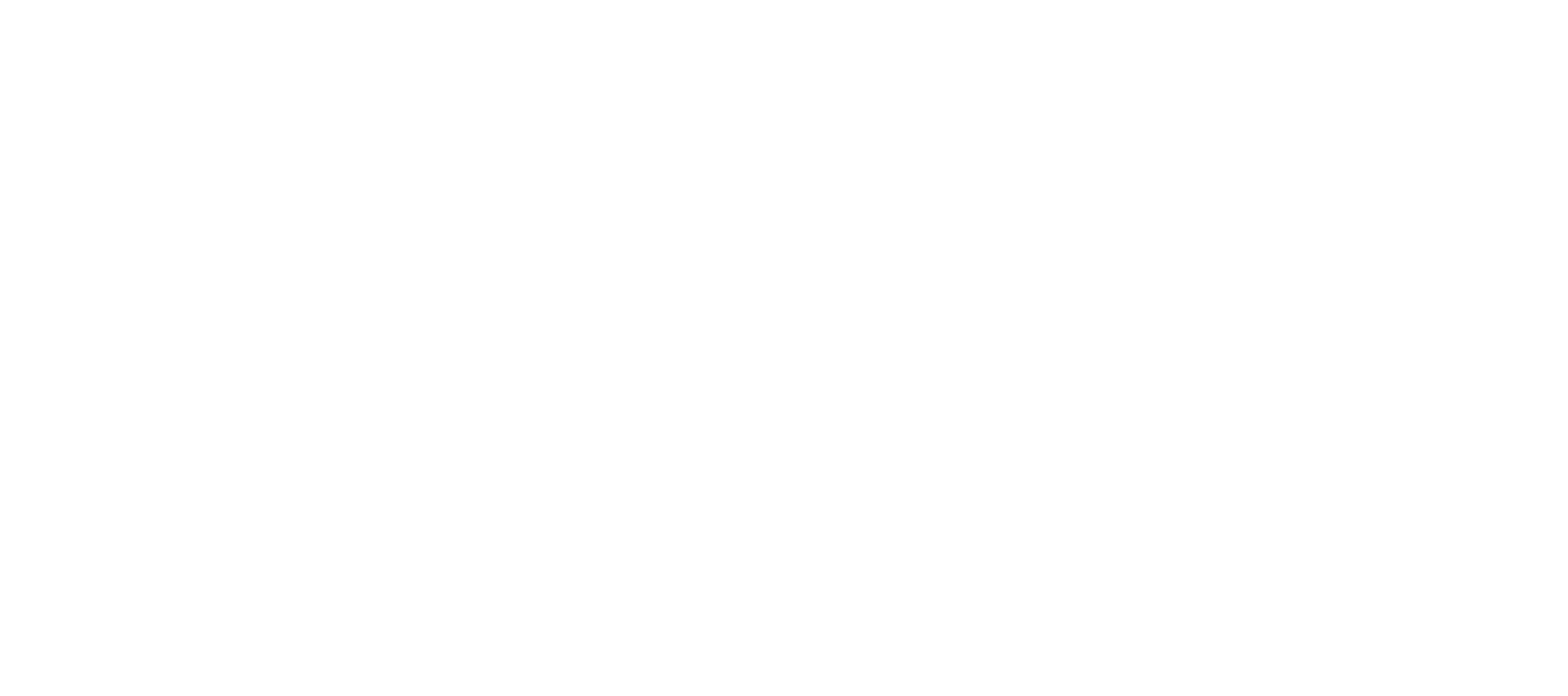 Epi Group Logo